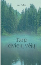 Tarp dviejų vėjų